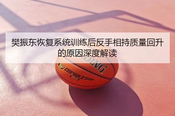 樊振东恢复系统训练后反手相持质量回升的原因深度解读
